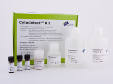 Cytodetect Kit - IQ Products