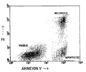 Phosphatidyl_Serine_Detection_-_figure_1a_Annexin_V_FITC_PI