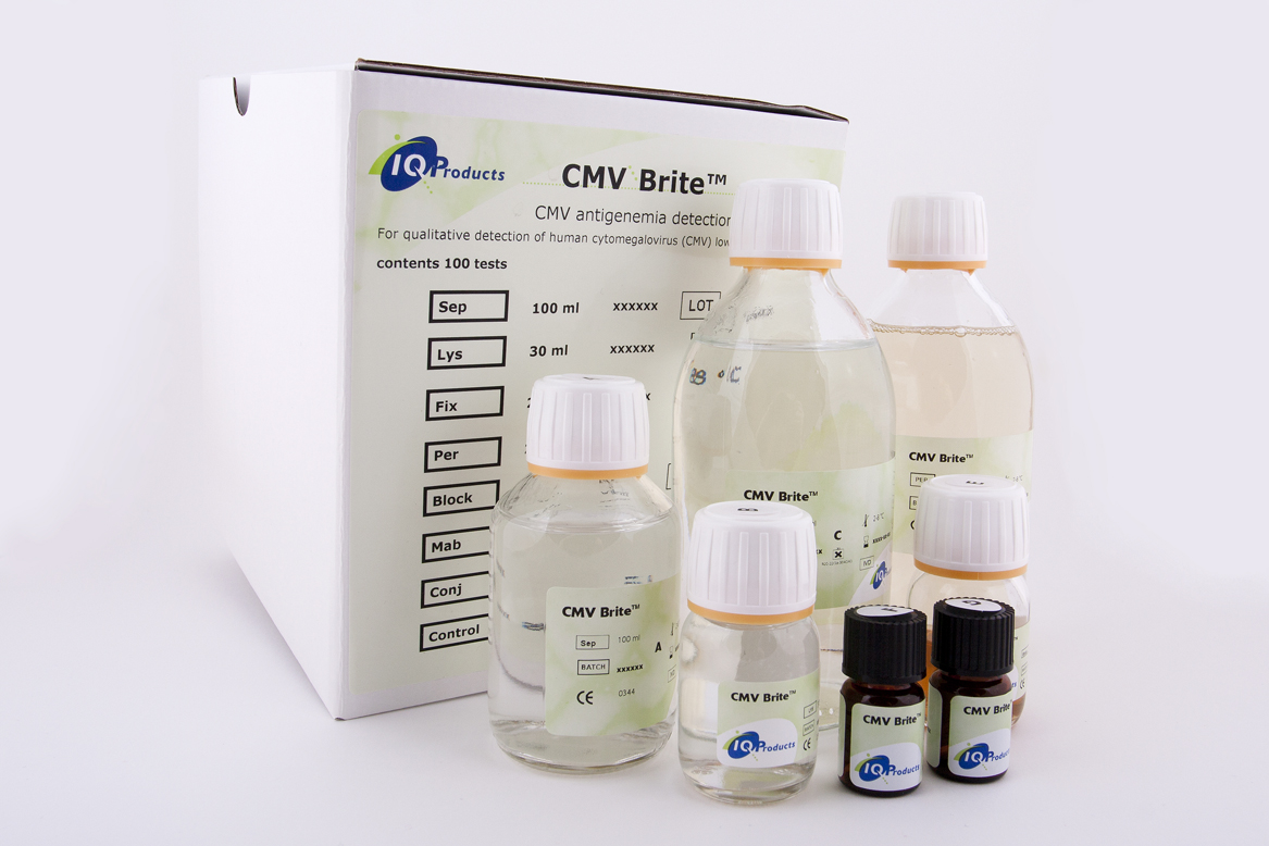 CMV Brite™ Kit