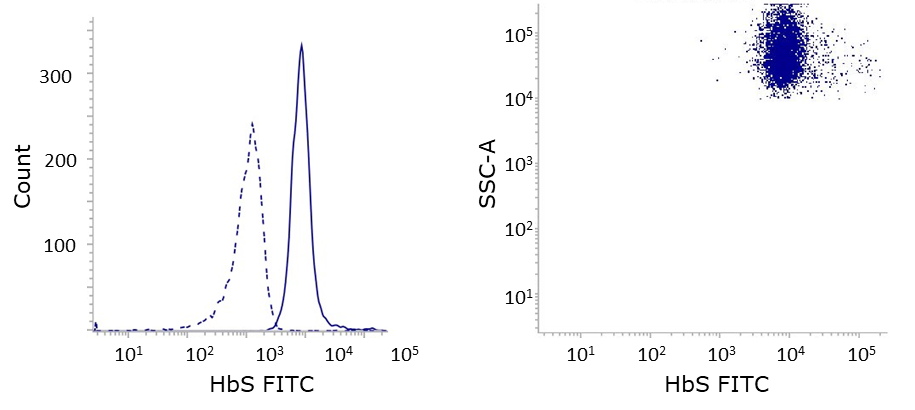 Hemoglobin S antibody flow cytometry